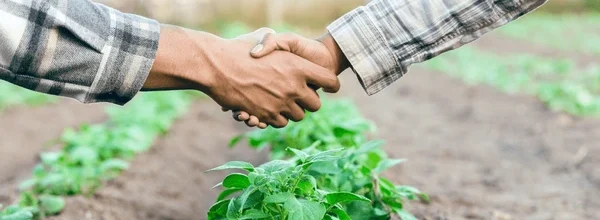 collaborative farming